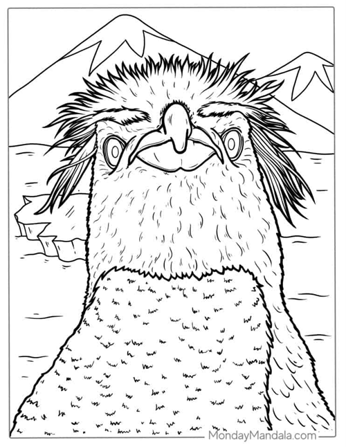 penguin coloring pages | coloring pages for penguins | penguins coloring page for kids