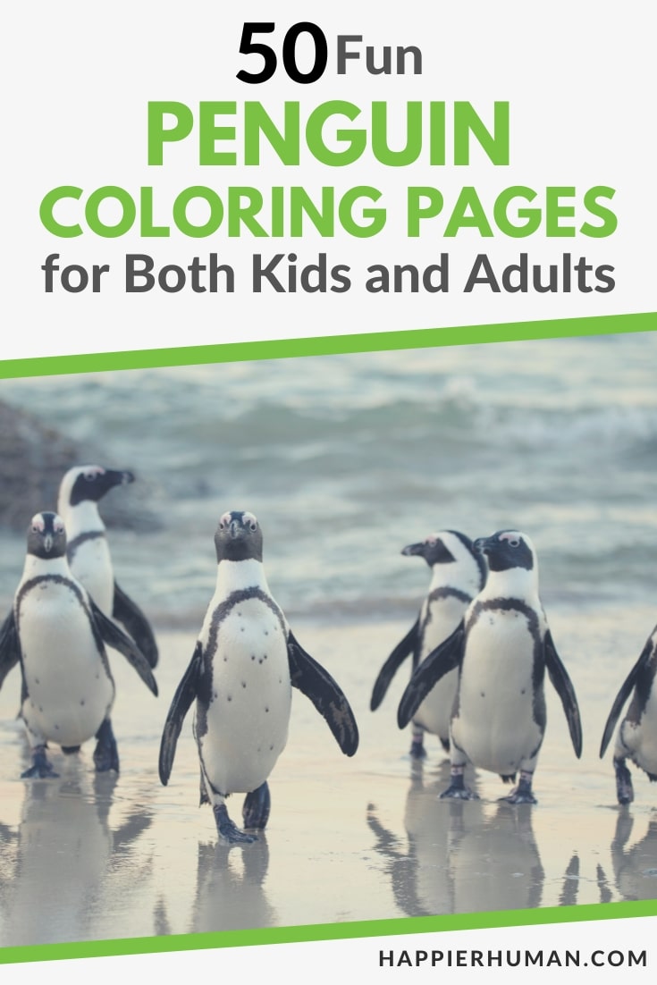 penguin coloring pages | coloring pages for penguins | penguin coloring page for kids
