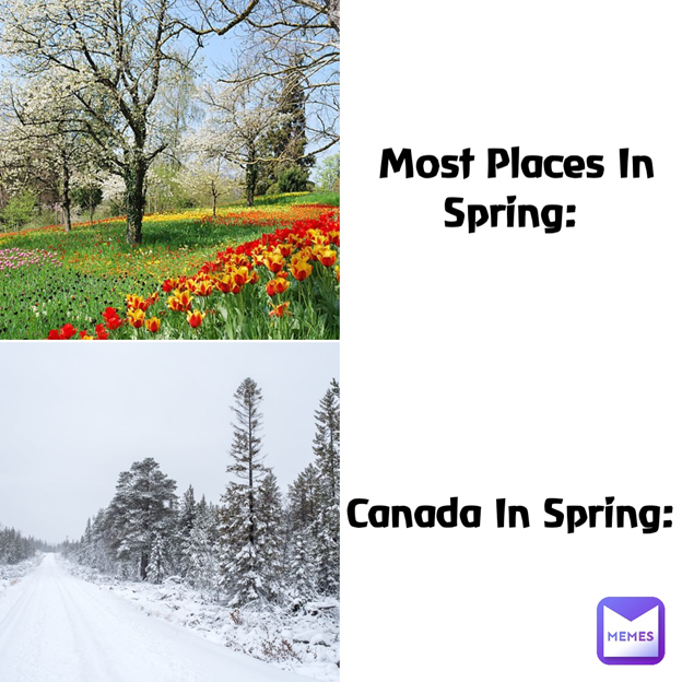 spring meme | funny meme | spring