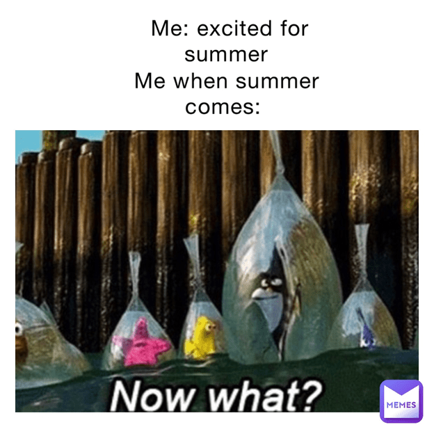 summertime memes | memes | funny meme