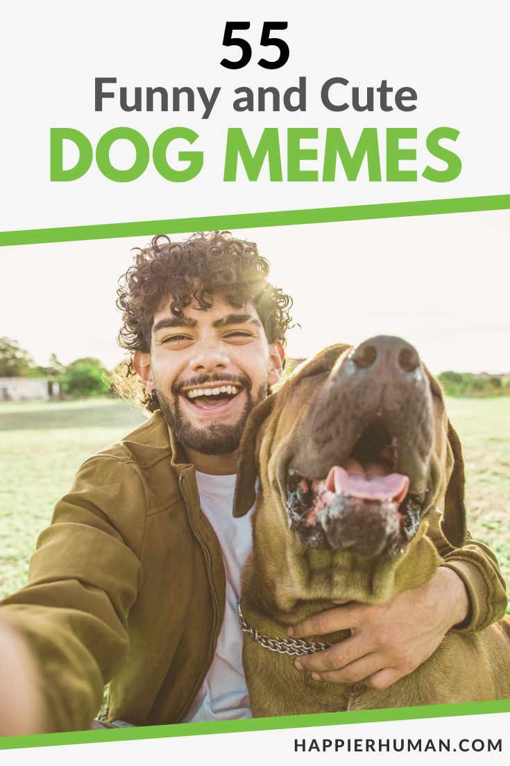 funny dog memes | dog memes | cute dog memes