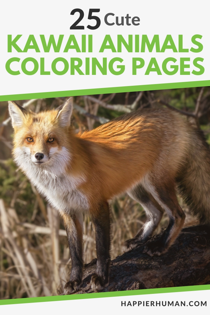 Cover image advertising '25 Cute Kawaii Animals Coloring Pages' with a fox standing on a log beneath bold green text and a white background banner.