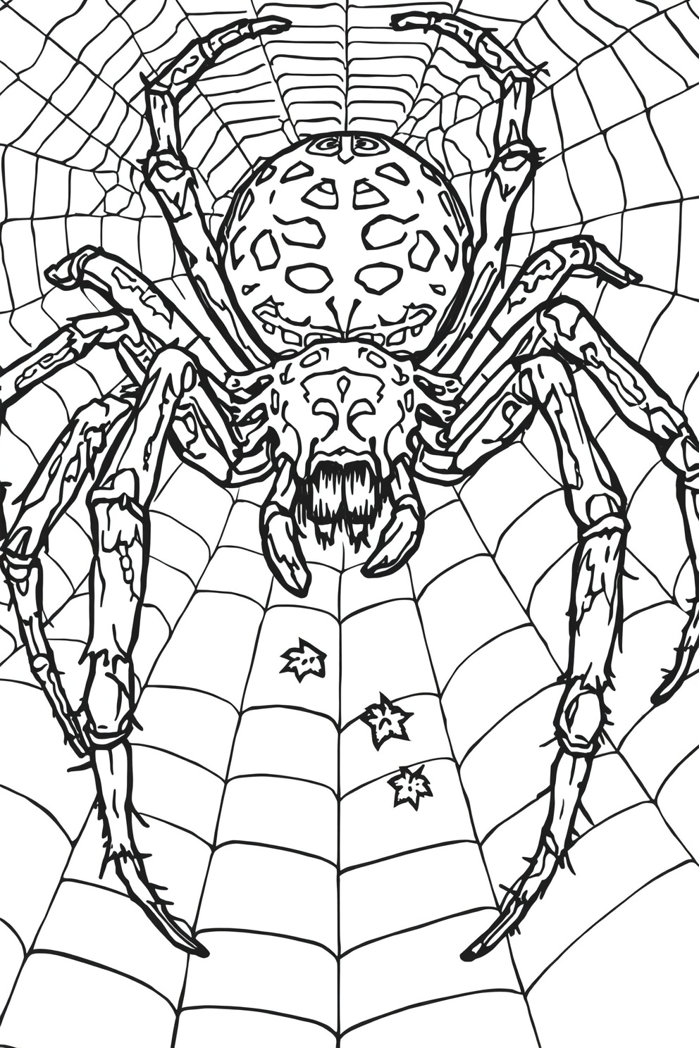 Large spider with a round patterned abdomen sitting on a web, showcasing its fangs and long legs behind a web tunnel